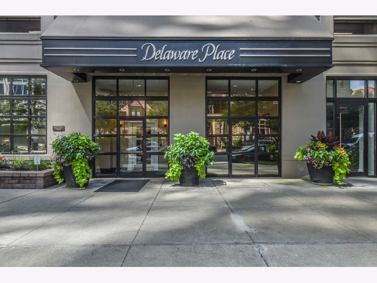 Condos & Townhomes Rented Delaware Place Chicago Illinois, 33 Delaware