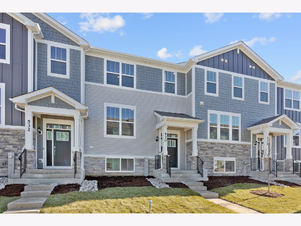 Condos & Townhomes Rented Liberty Meadows Aurora Illinois, 530 Wolverine