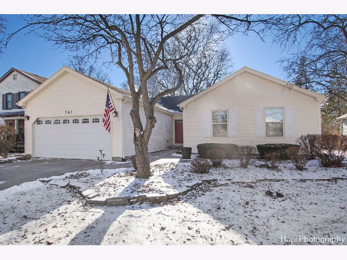 Homes Sold Strathmore Grove Buffalo Grove Illinois, 541 Caren