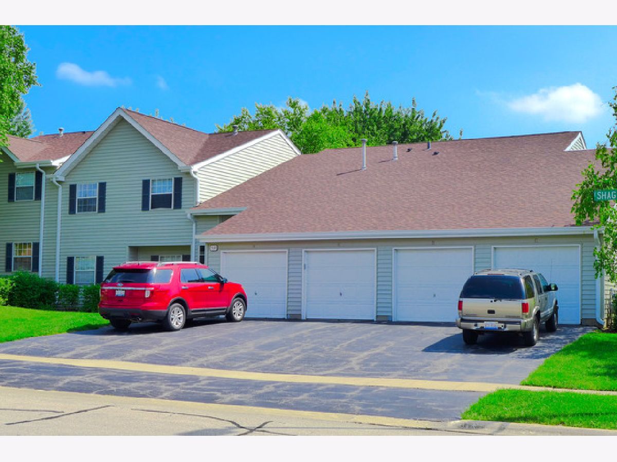 Condos & Townhomes Rented Victorian Park Streamwood Illinois, 537 Shag Bark