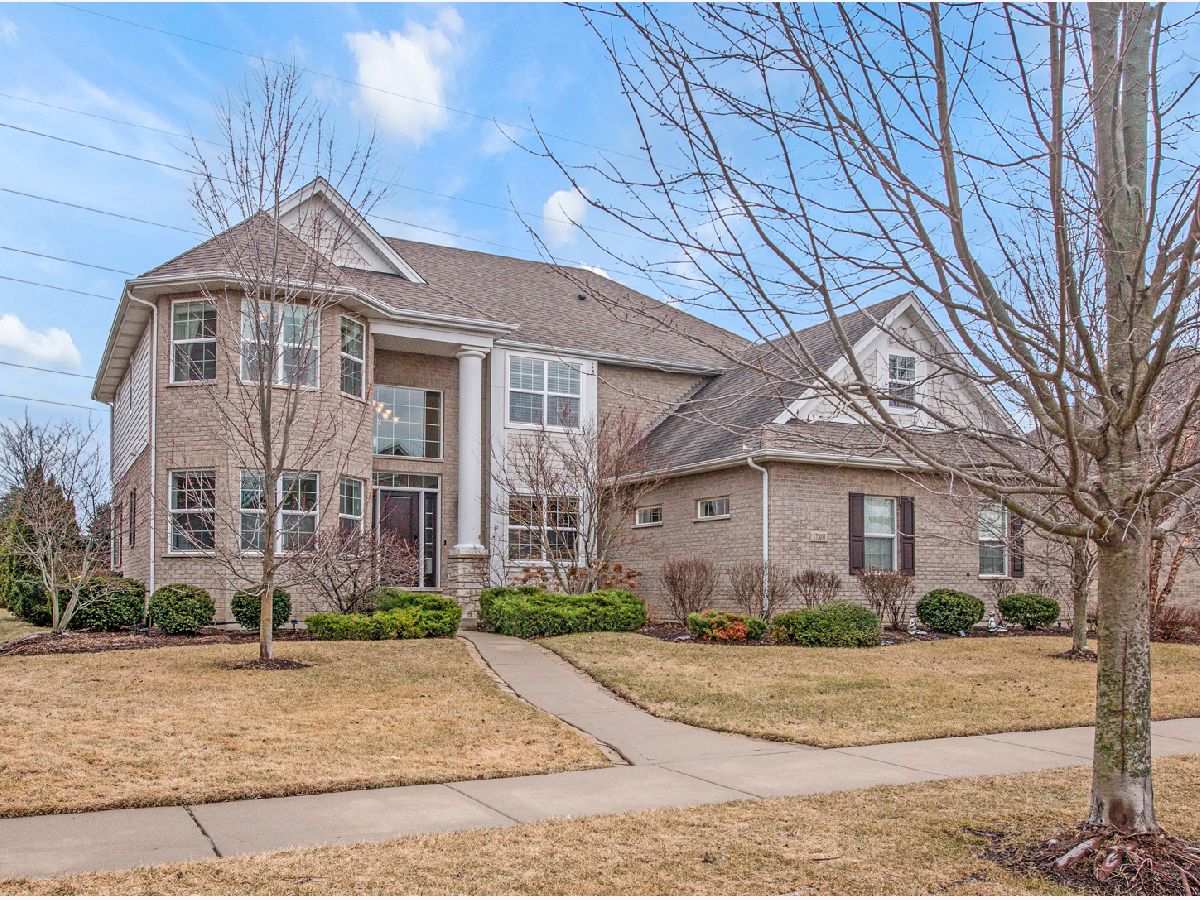Homes Sold Glens Of Connemara Lemont Illinois, 12801 Dunmoor
