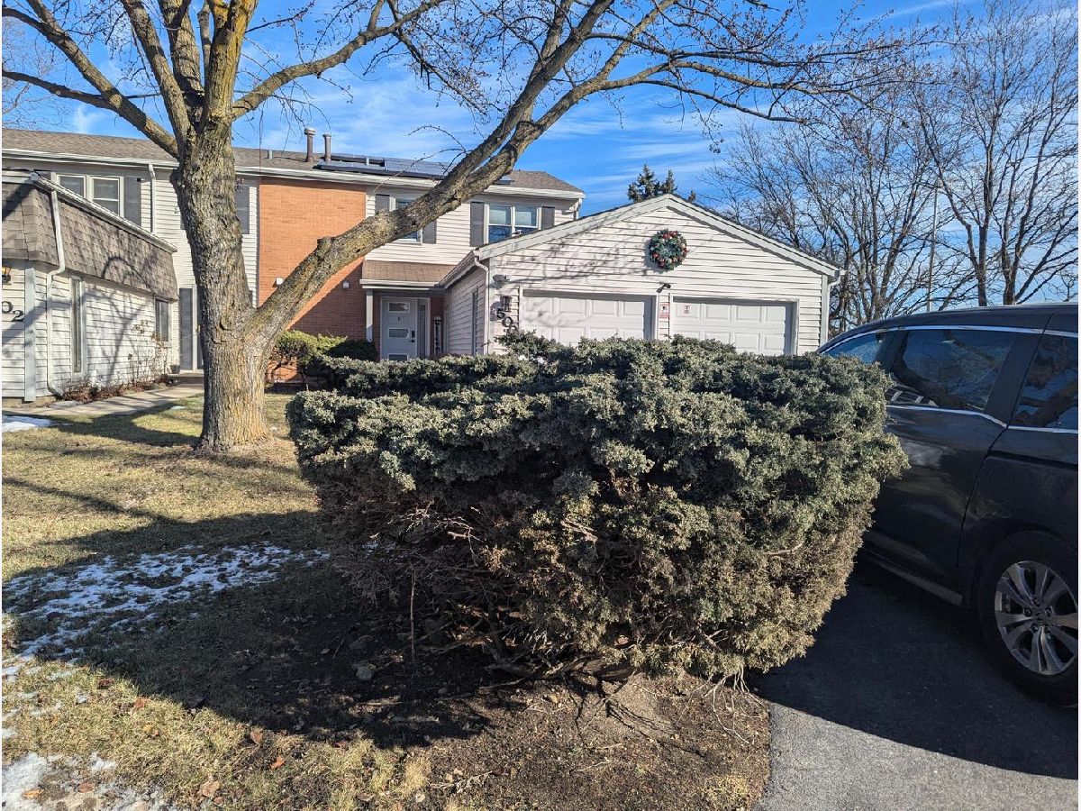 Townhomes Sold Winston Village Bolingbrook Illinois, 500 Racine