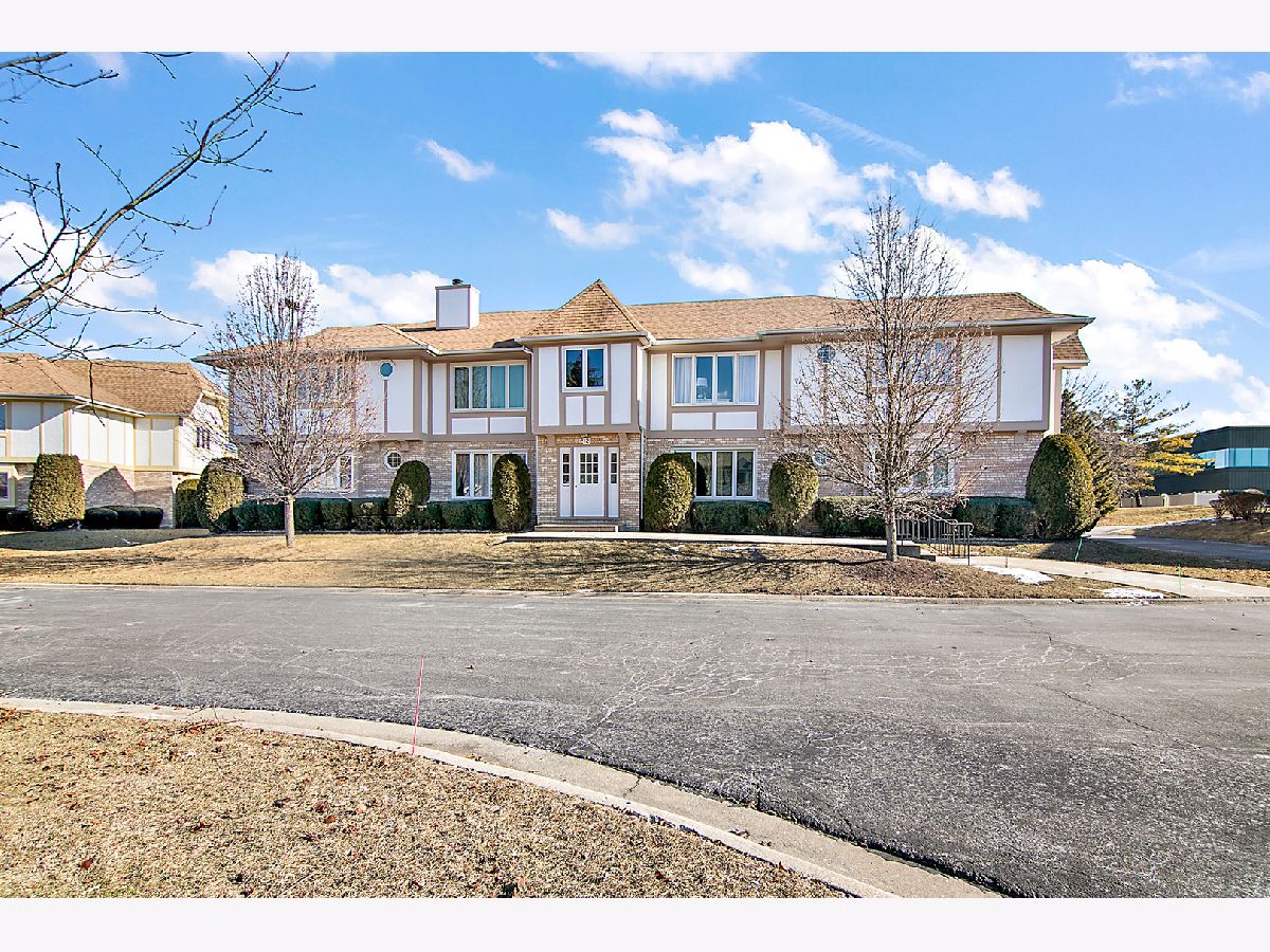 Condominiums Sold Edelweiss On The Lake Palos Park Illinois, 12 Saint Moritz