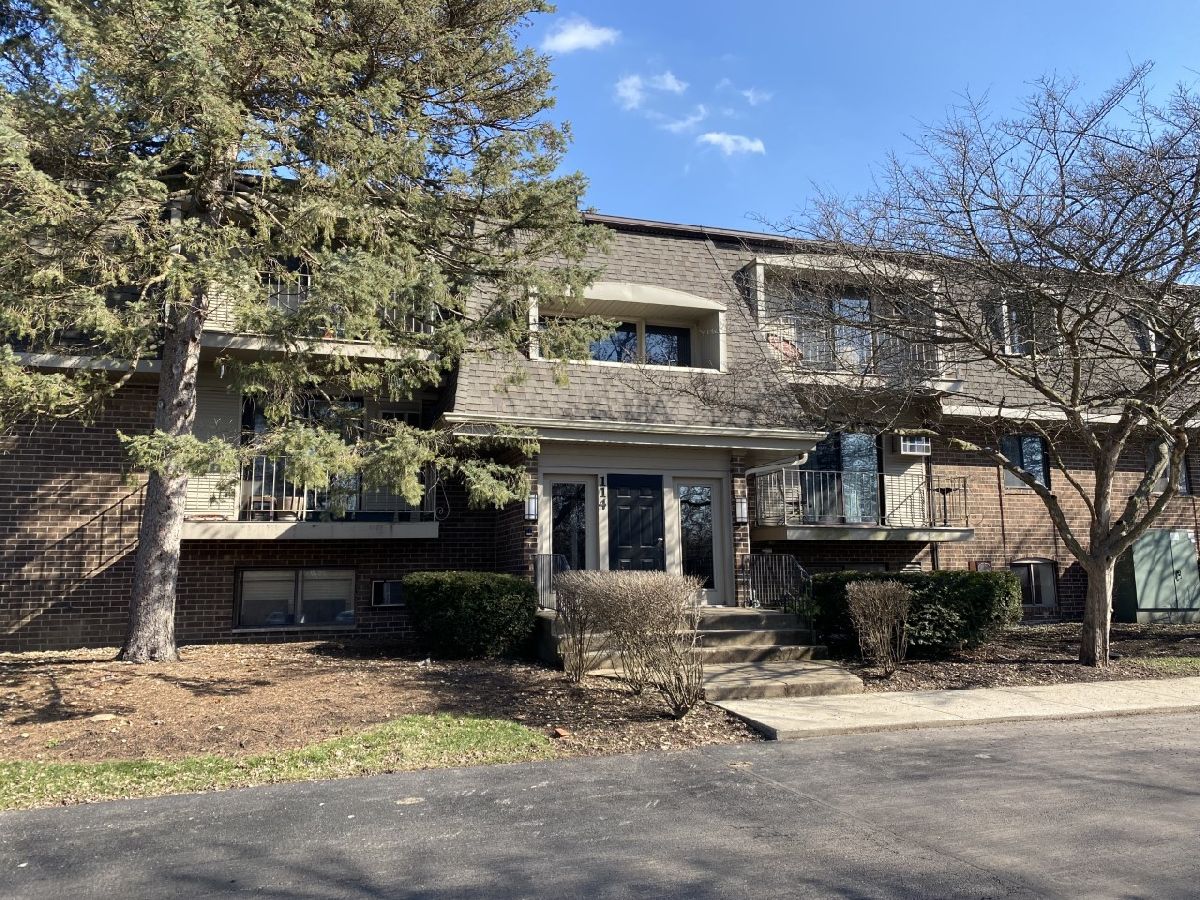 Condominiums Rented Olive Trees Naperville Illinois, 114 Bailey