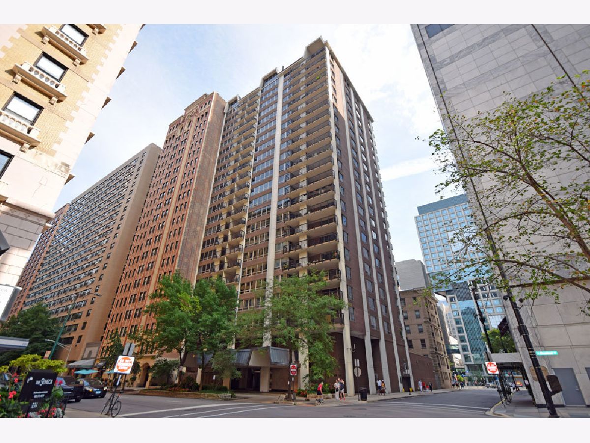 Condos & Townhomes Rented Streeterville Chicago Illinois, 201 Chestnut