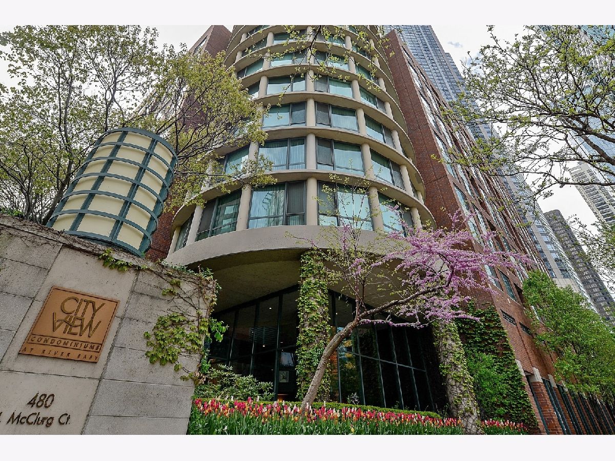 Condominiums Sold Citiview Condos Chicago Illinois, 480 Mcclurg