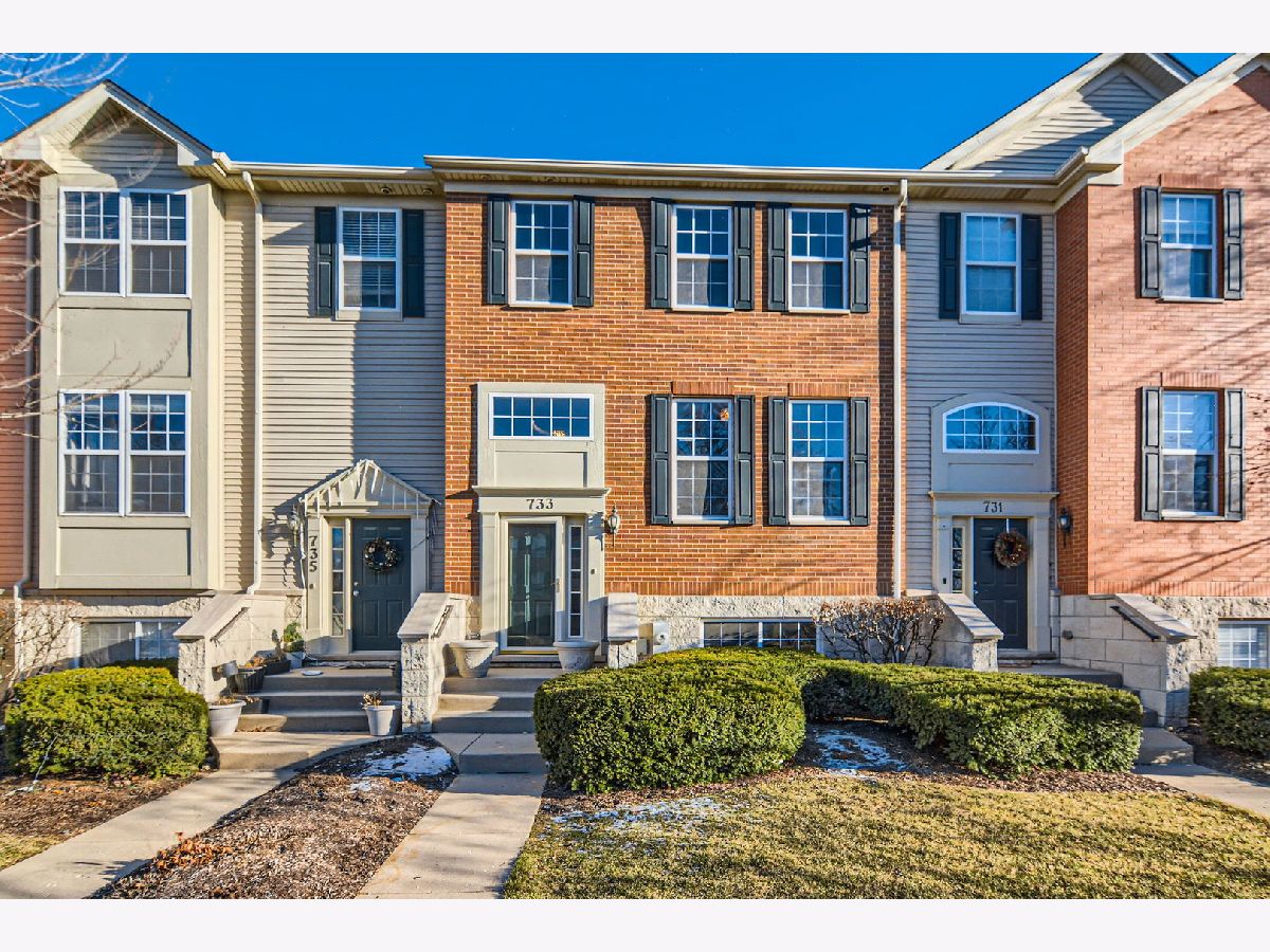 Townhomes & Homes Sold Castle Creek Bartlett Illinois, 733 Thornbury