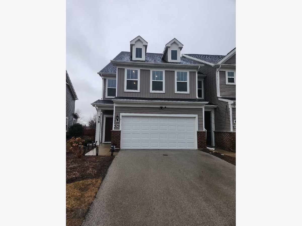 Condos & Townhomes & Homes Rented Meadow Ridge Aurora Illinois, 529 Watercress