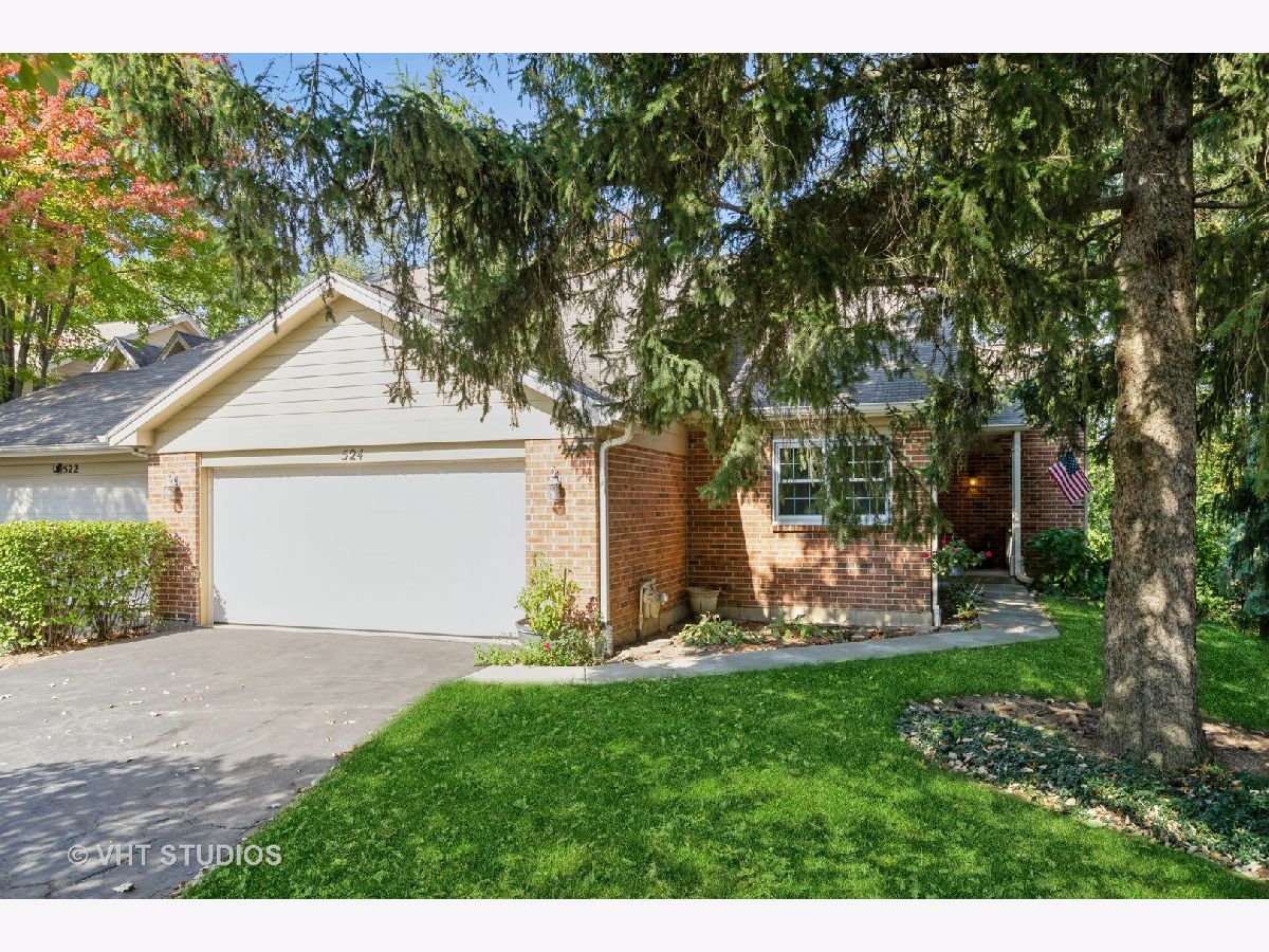 Townhomes Sold Hickory Ridge Elgin Illinois, 524 Shagbark