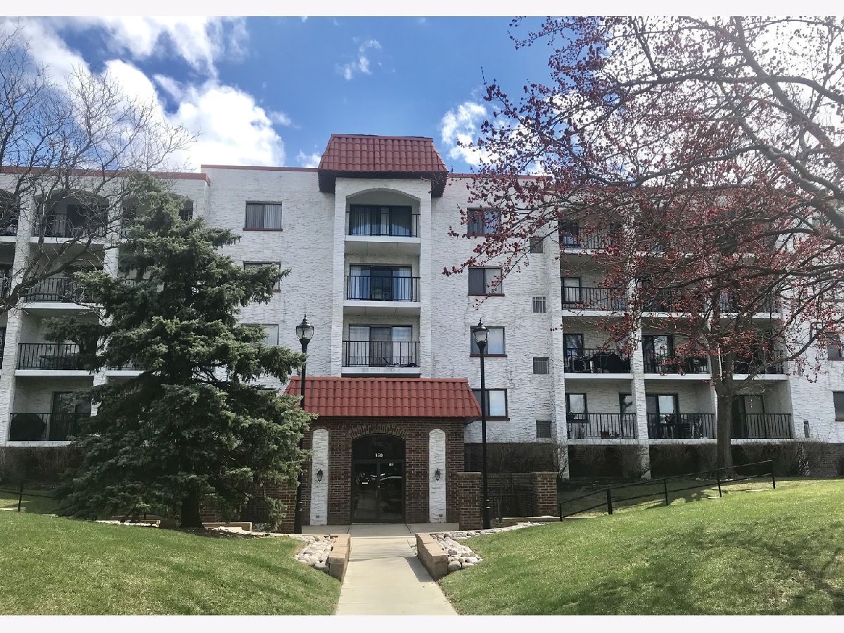 Condominiums Rented Plum Creek Wheeling Illinois, 350 Plum Creek