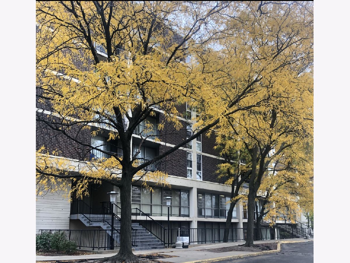 Condominiums Rented York Towers Bensenville Illinois, 1043 York