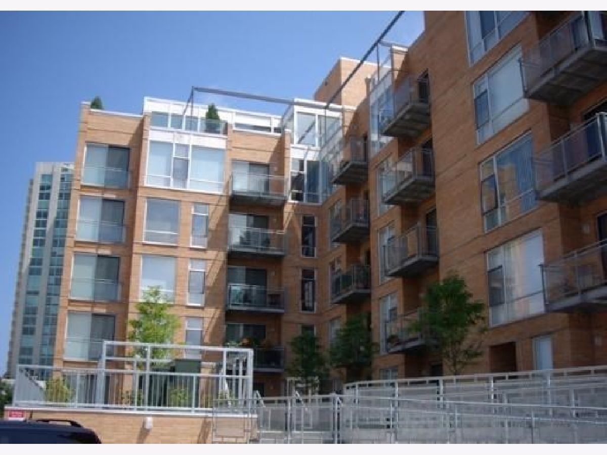Condominiums Rented Sienna Evanston Illinois, 1720 Oak