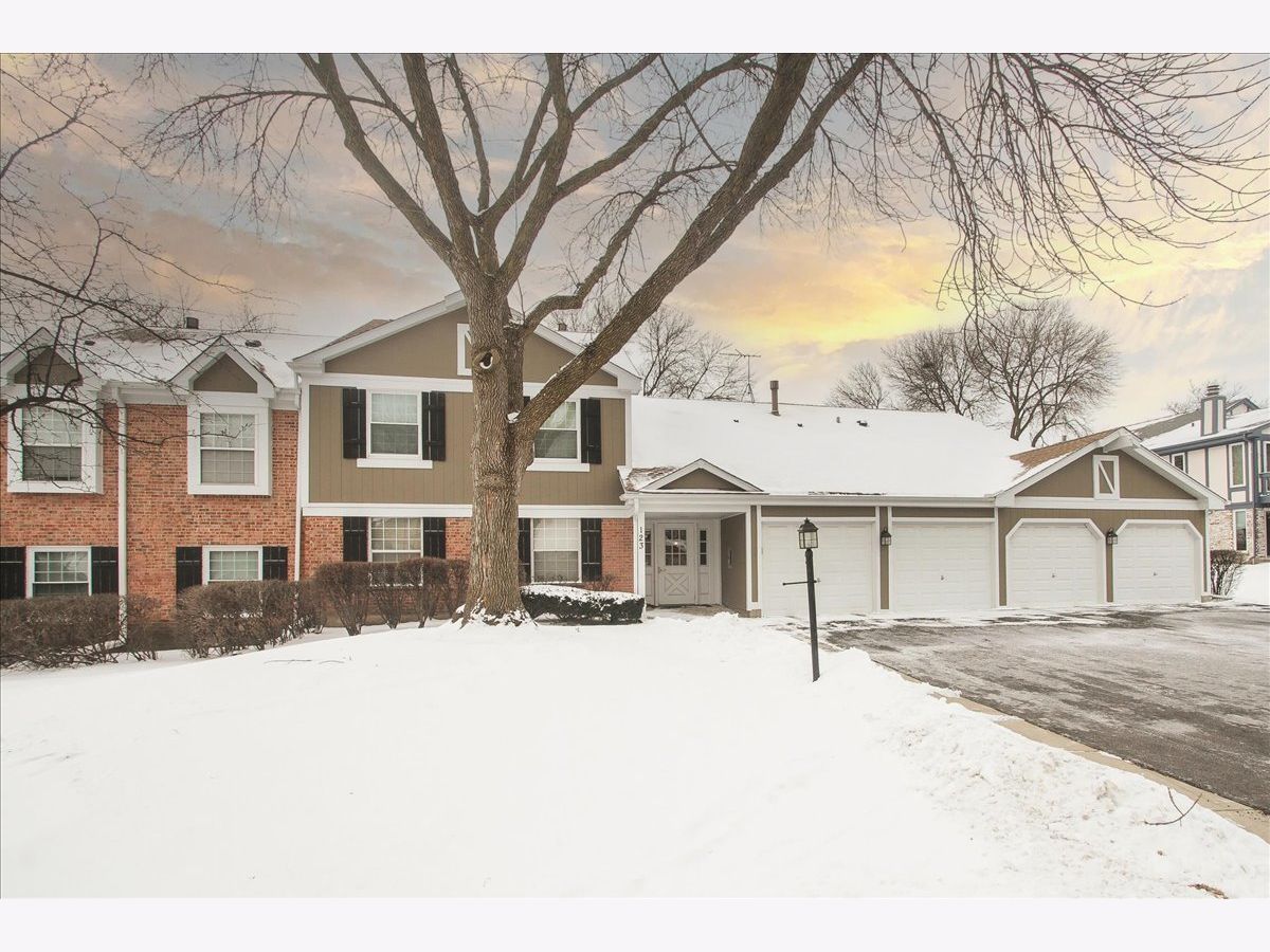 Condominiums & Homes Sold Lexington Lane Schaumburg Illinois, 123 Century