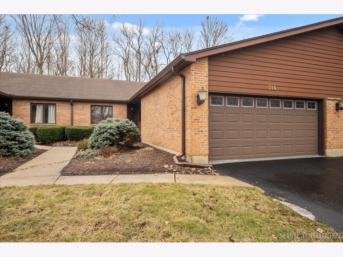 Condos & Townhomes Sold Golf View Estates Dekalb Illinois, 514 Bethany