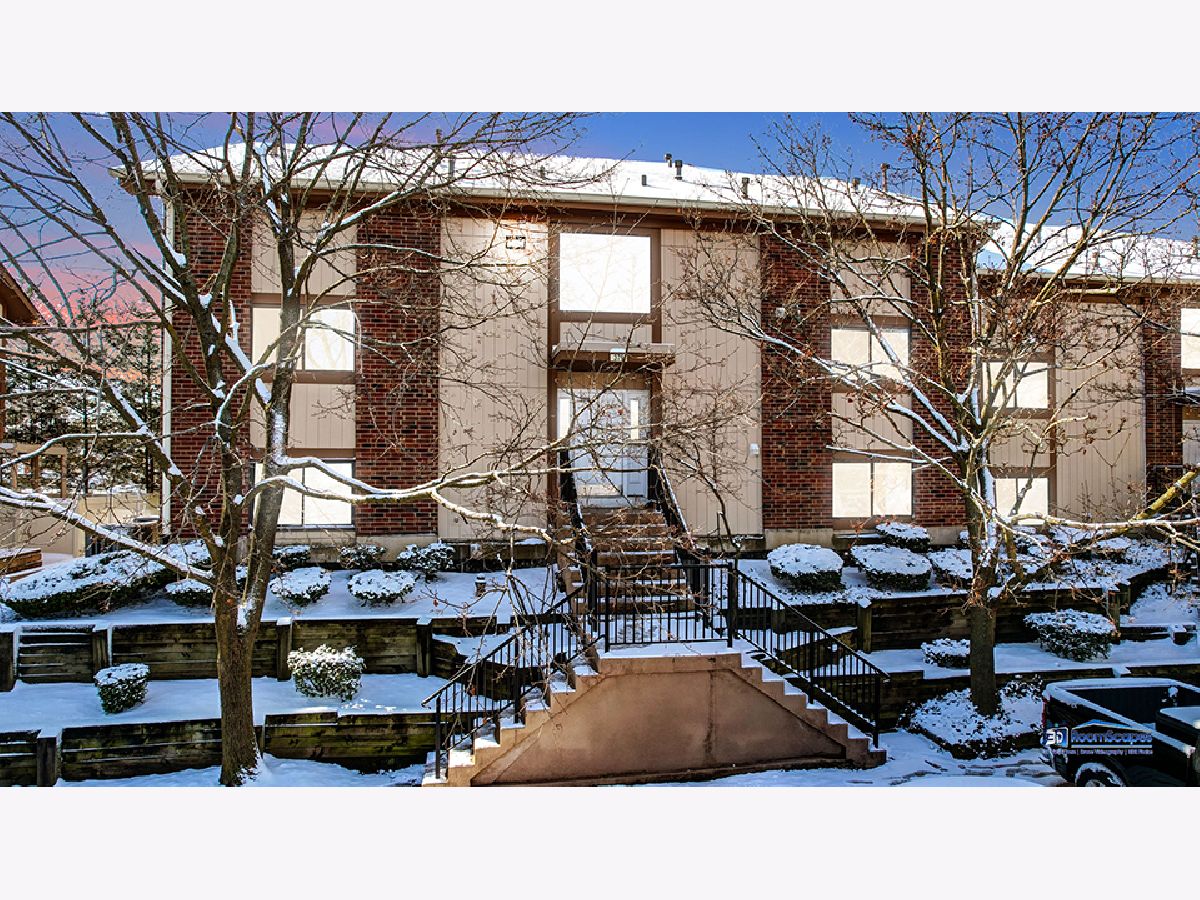 Condos & Townhomes Sold Lofty Condos Bartlett Illinois, 379 Wilmington