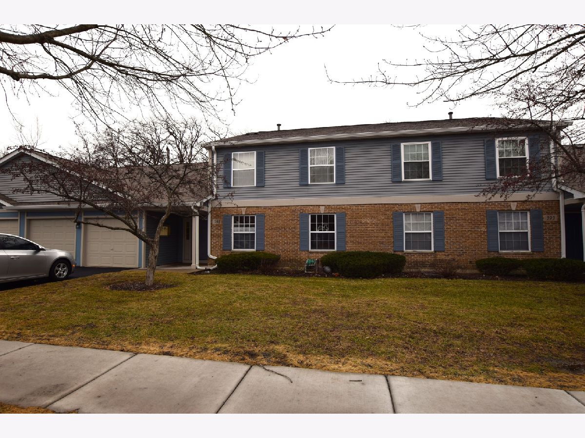 Condos & Townhomes Sold Oakwood Hills Elgin Illinois, 391 Woodview
