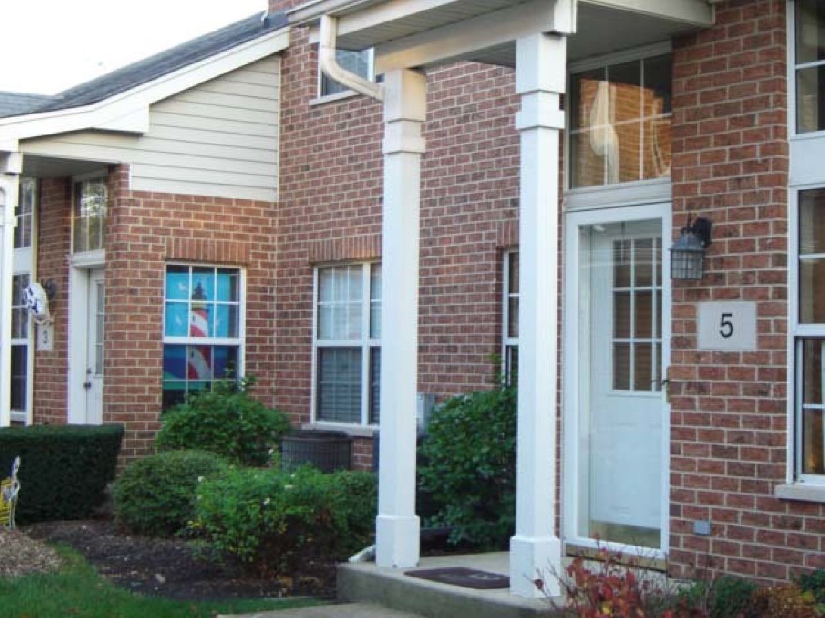 Townhomes Rented Astoria Place Elmhurst Illinois, 5 Dewalt