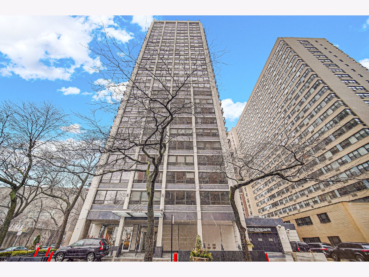 Condominiums Sold Pearson On The Park Chicago Illinois, 222 Pearson