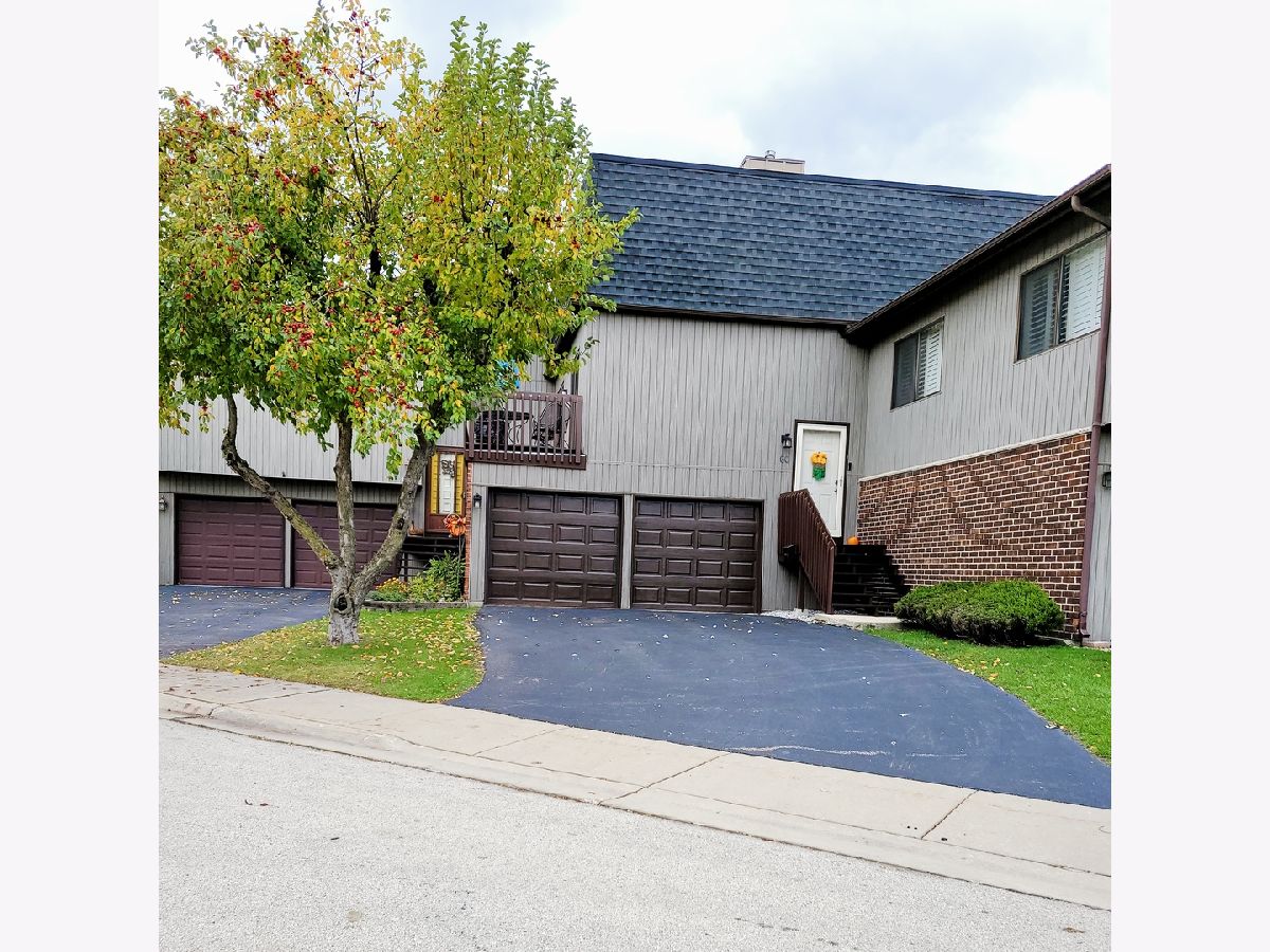 Townhomes & Condos & Homes Sold Ventura 21 Roselle Illinois, 60 Lake Shore