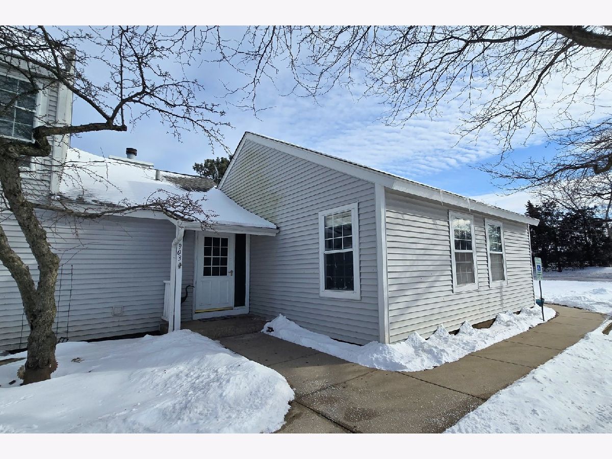 Townhomes & Condos & Homes Rented Heather Ridge Gurnee Illinois, 903 Bidwell