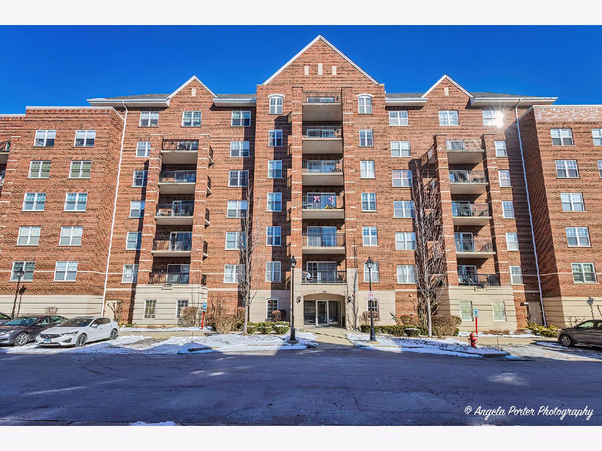 Condos & Townhomes Sold The Groves Of Palatine Palatine Illinois, 390 Mahogany