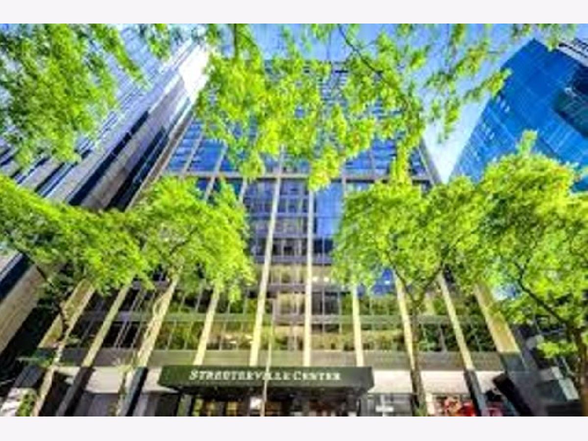 Condos & Townhomes Rented Streeterville Chicago Illinois, 233 Erie