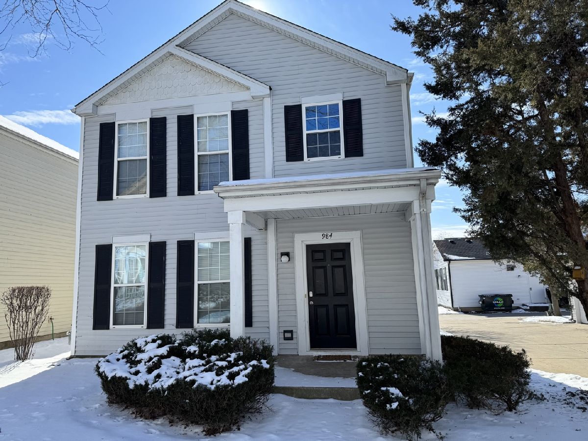 Homes & Townhomes & Condos Rented Hometown Aurora Illinois, 984 Four Seasons