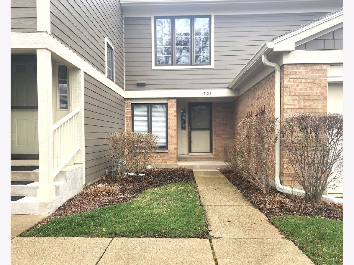 Townhomes Rented Riva Ridge Ii Libertyville Illinois, 703 Ascot