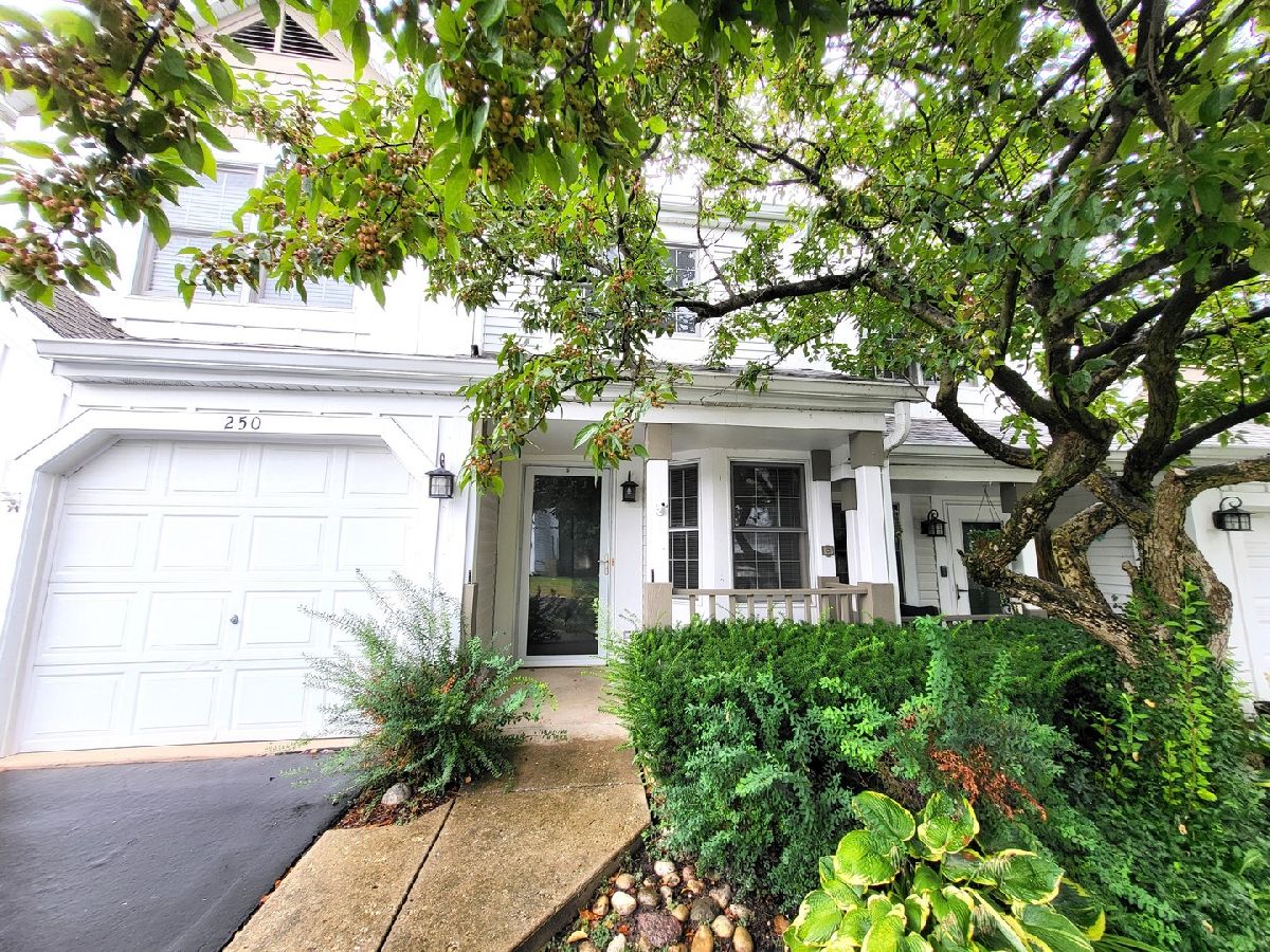 Townhomes Sold Spring Point Carpentersville Illinois, 250 Spring Point