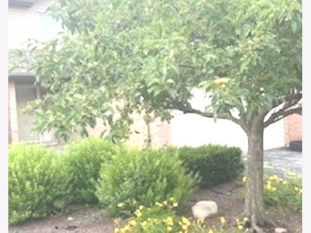  Rented Crete Illinois, 24554 Independence