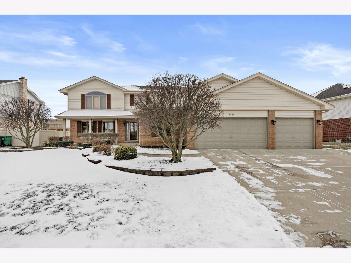 Townhomes & Homes Sold Townpointe Tinley Park Illinois, 8425 Nielsen