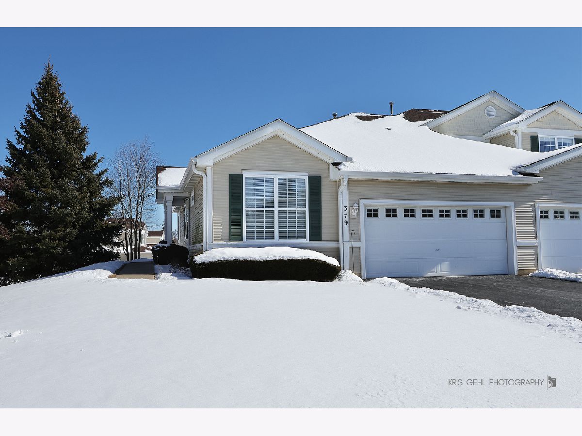 Townhomes Sold Remington Trails Round Lake Illinois, 379 Carlisle