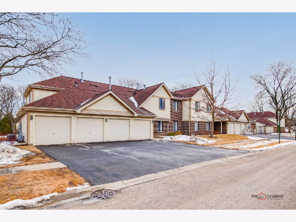 Condos & Townhomes Sold Kingsbrooke Palatine Illinois, 819 Carriage