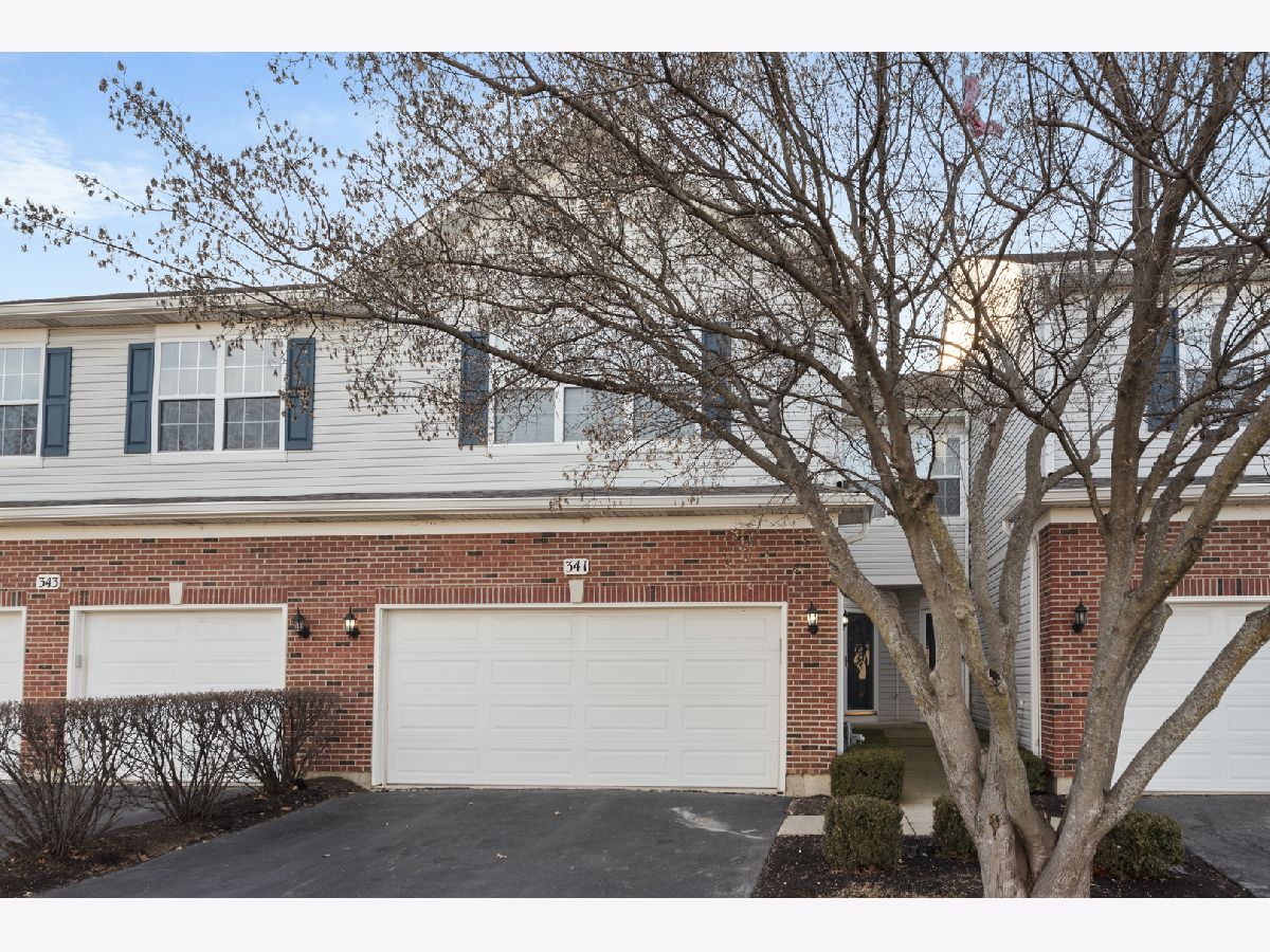 Townhomes & Homes Sold Blackberry Knoll Oswego Illinois, 341 Grapevine