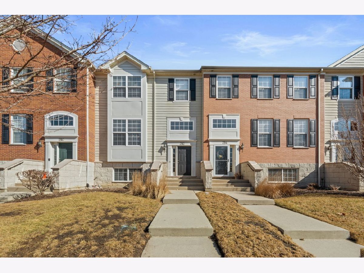 Homes & Townhomes & Condos Sold Shadow Hill Elgin Illinois, 252 Cassidy
