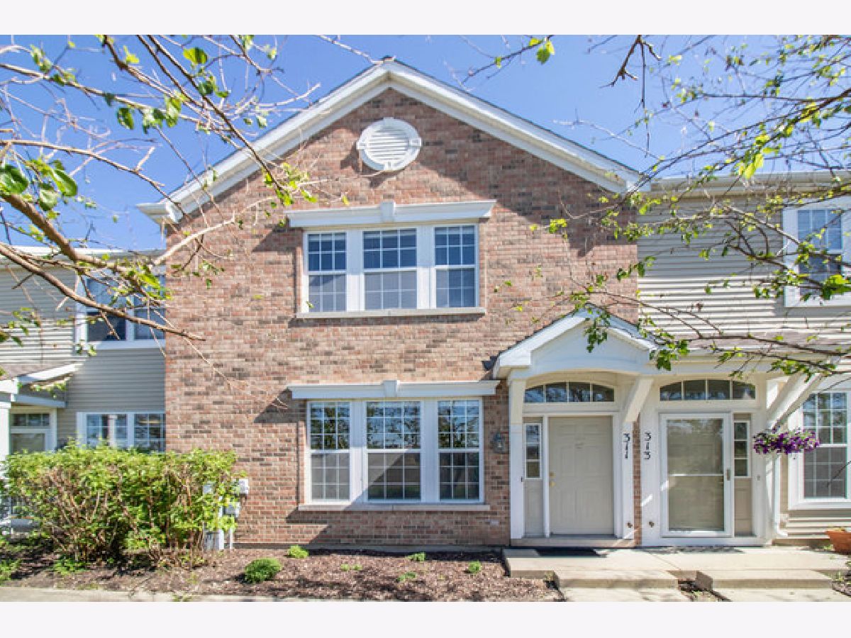 Townhomes Rented Springbrook Trails Oswego Illinois, 311 Springbrook