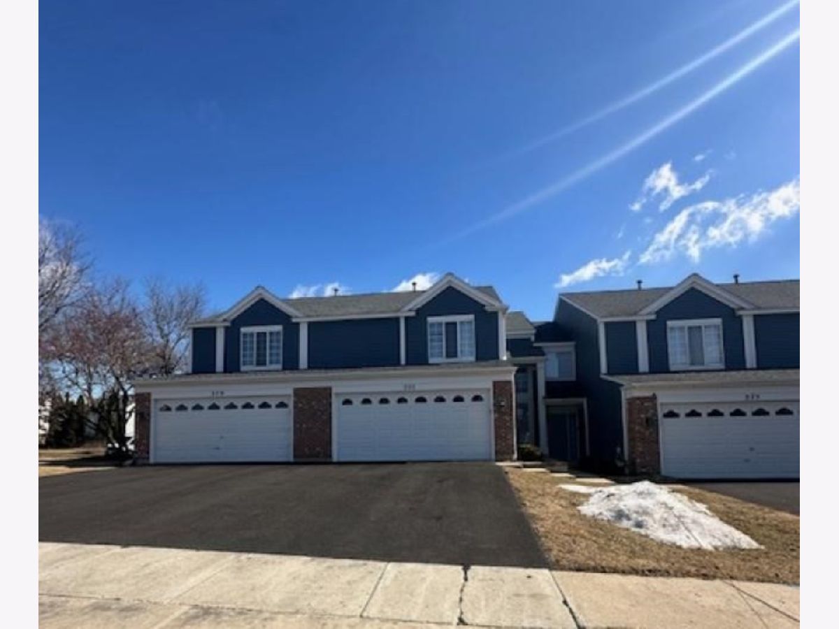 Townhomes & Condos & Homes Sold Amber Grove Bartlett Illinois, 377 Persimmon