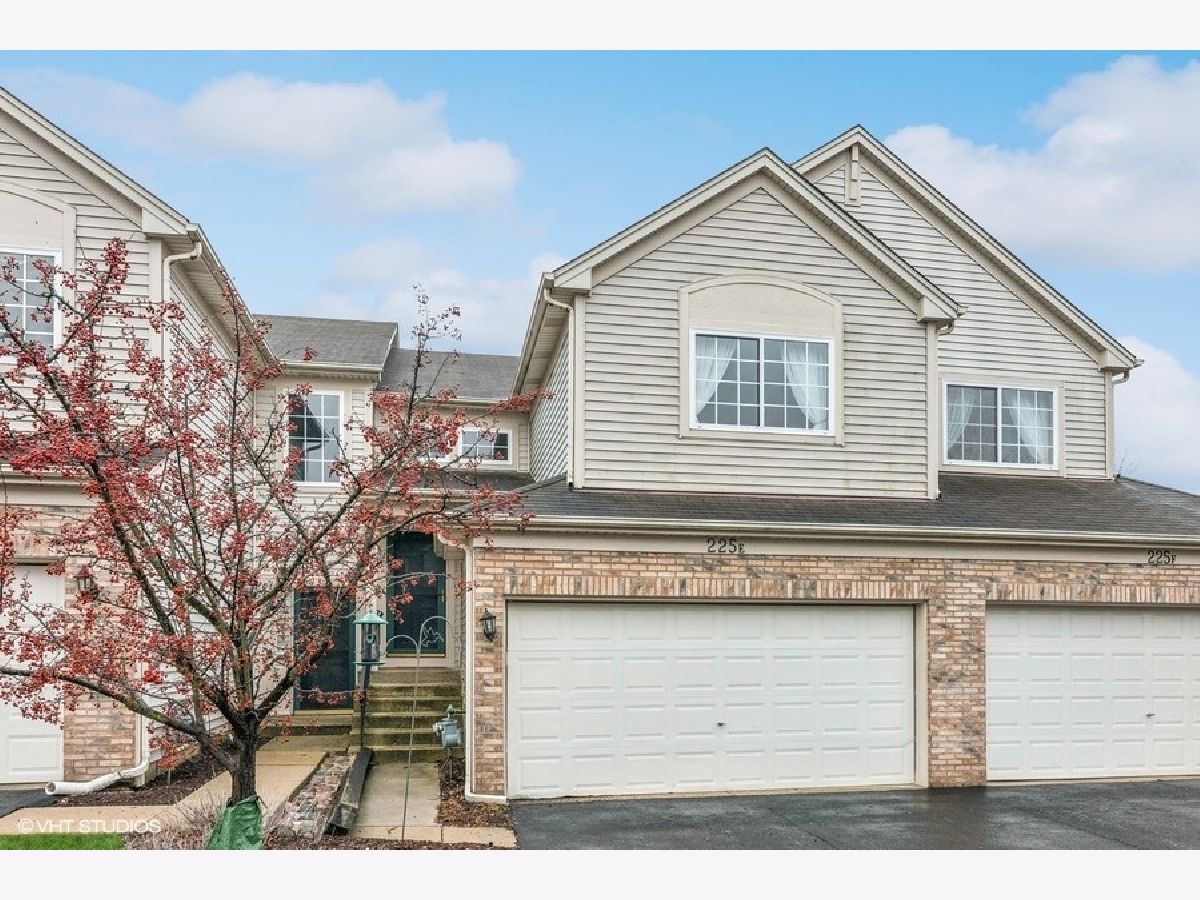 Townhomes & Homes Sold Thornwood Grove South Elgin Illinois, 225 Nicole