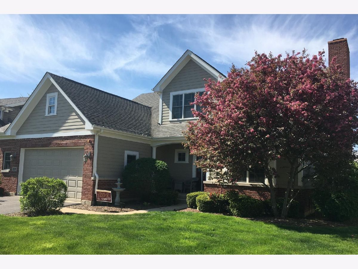 Townhomes & Homes Sold Liberty Grove Libertyville Illinois, 221 Cater