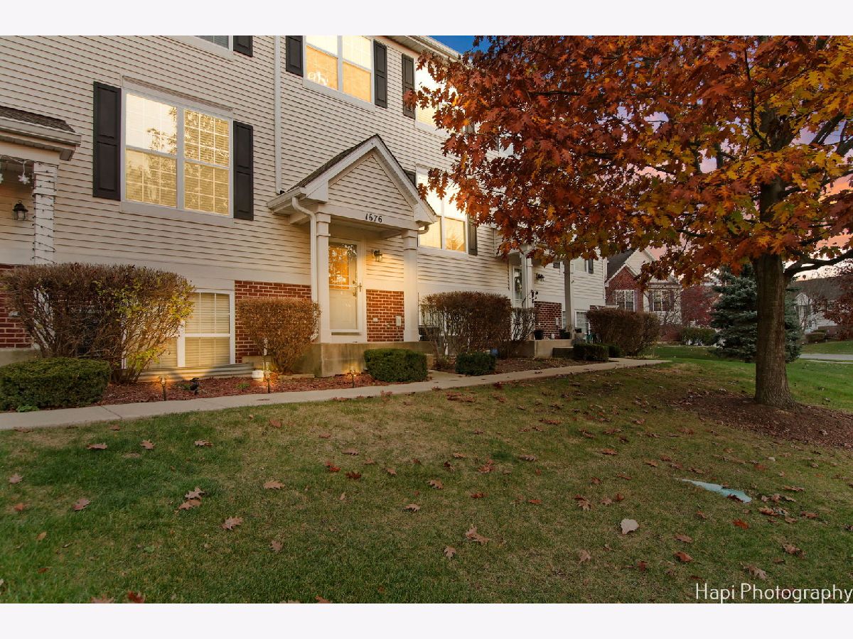 Townhomes & Condos Sold Heron Bay Round Lake Illinois, 1676 Turtle Creek