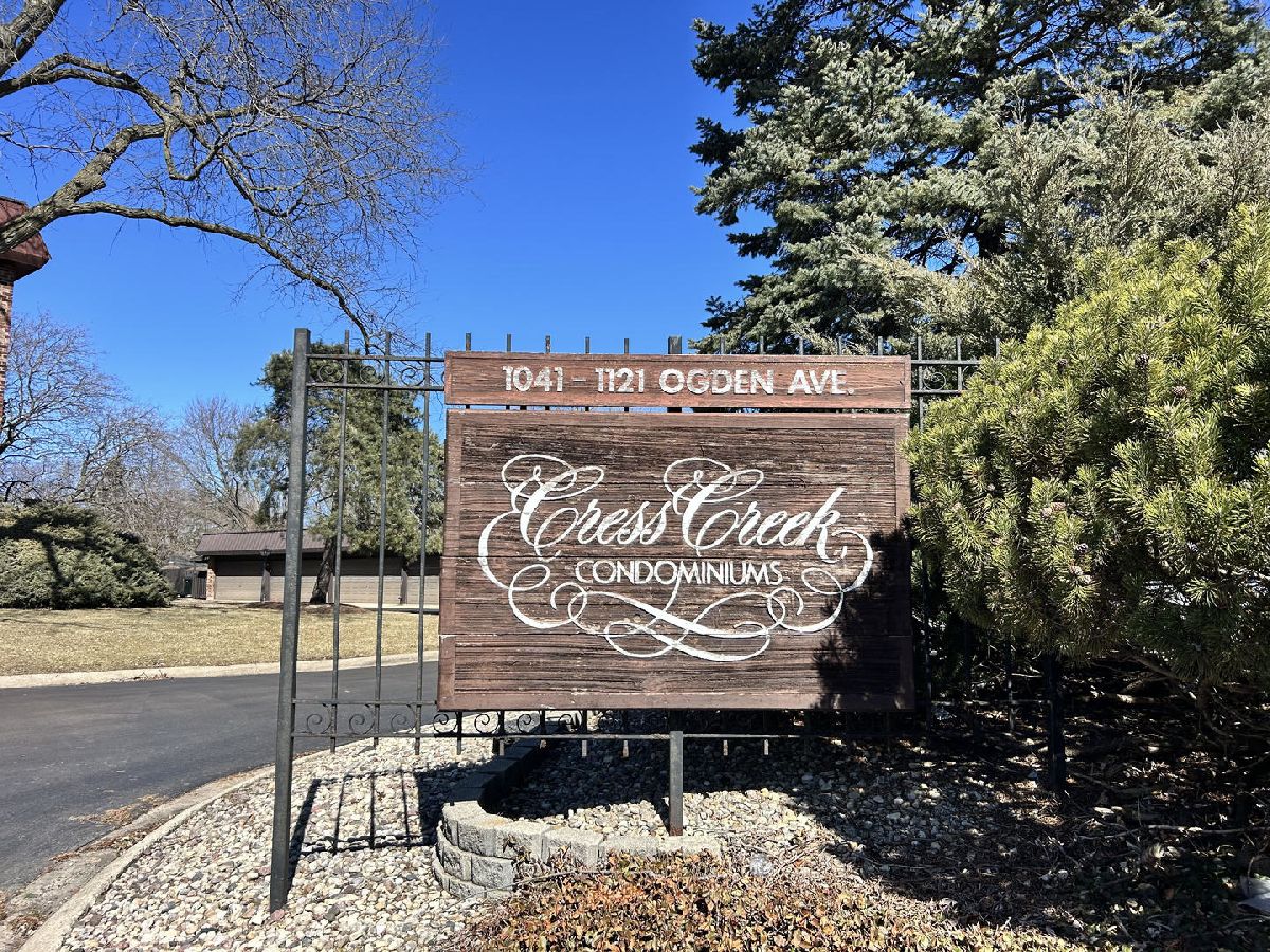 Homes & Condos & Townhomes Sold Cress Creek Naperville Illinois, 1053 Ogden