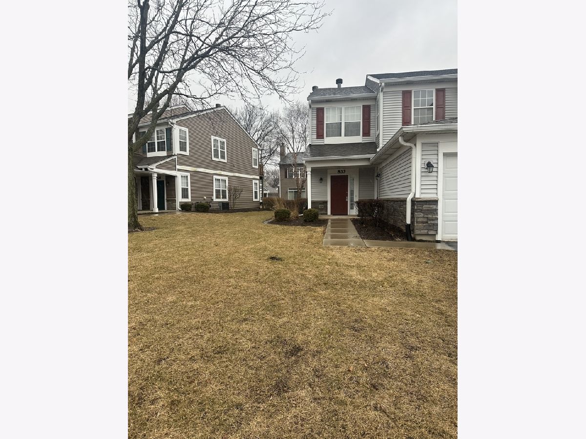 Townhomes & Condos & Homes Rented Enclave At Country Lakes Naperville Illinois, 833 Genesee