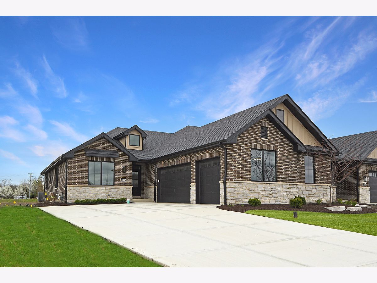 Condos & Townhomes Sold Waterford Pointe Villas Orland Park Illinois, 11149 Lizmore