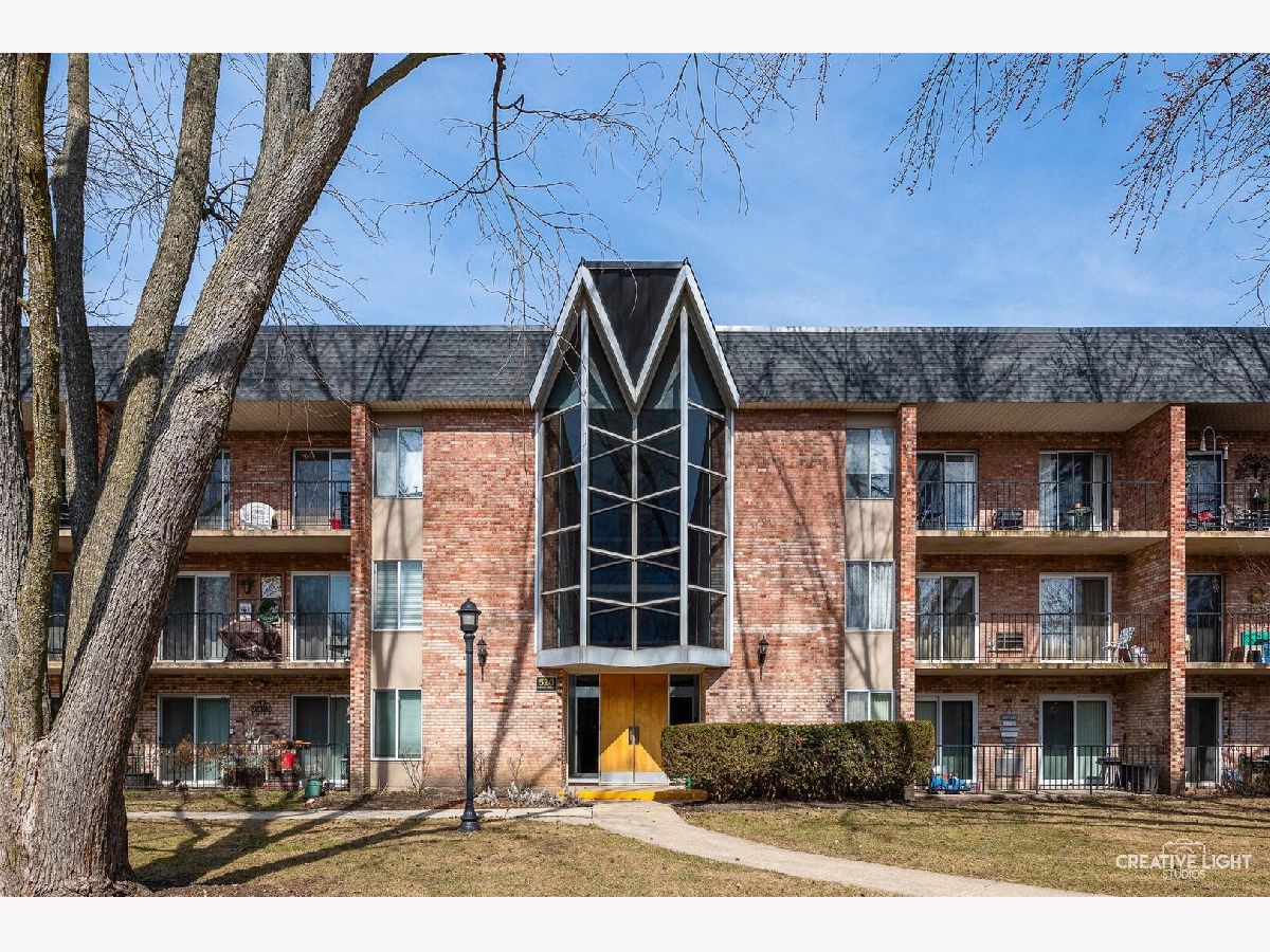 Condos & Townhomes Sold Mill Crossing Naperville Illinois, 520 Burning Tree