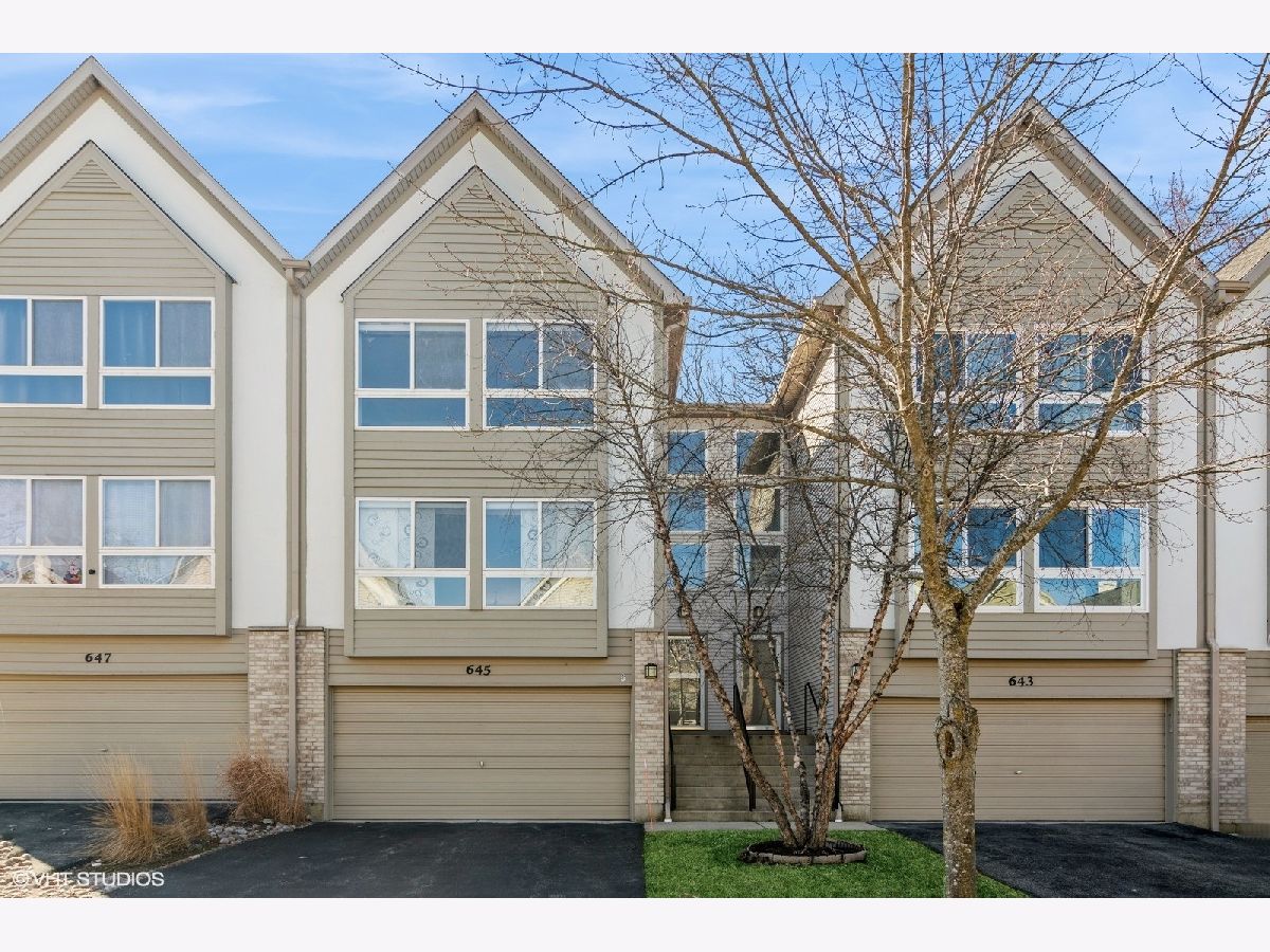 Townhomes Sold Diamond Pointe Mundelein Illinois, 645 Diamond Pointe