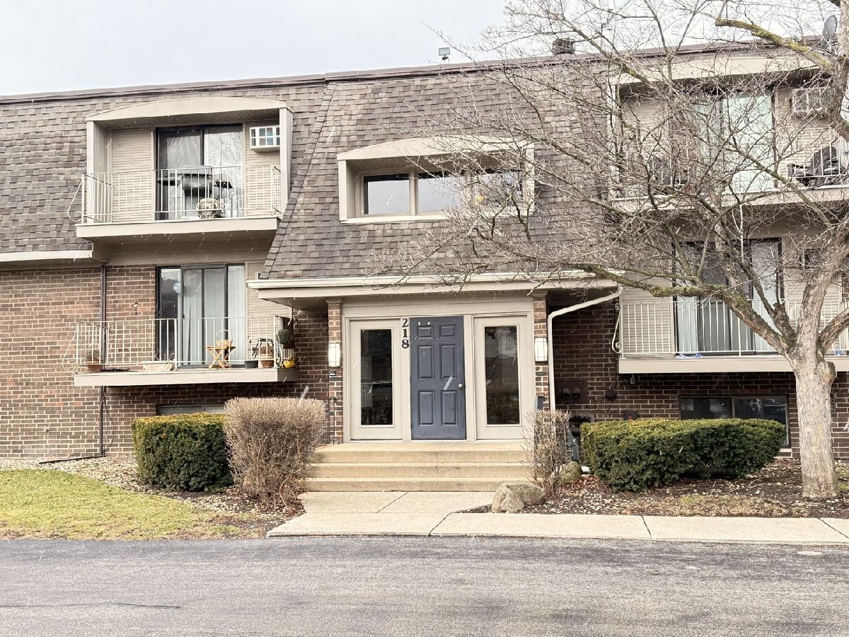 Condominiums Sold Olive Trees Naperville Illinois, 218 Bailey