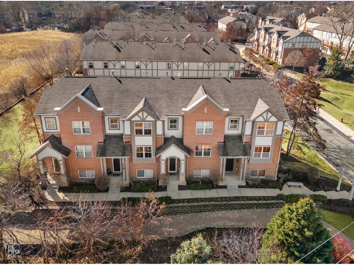 Townhomes Sold Claremont Ridge Palatine Illinois, 1034 Claremont