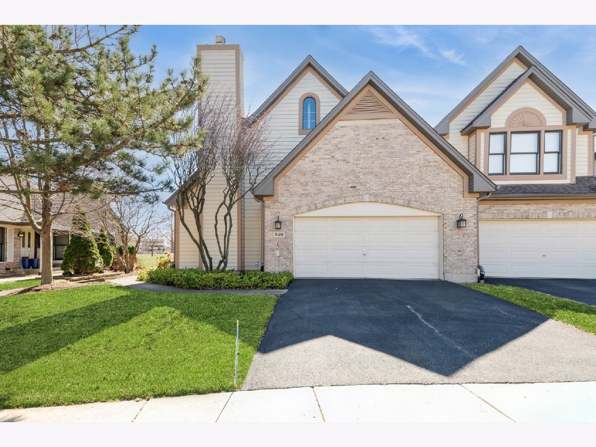 Townhomes & Homes Sold Abbey Woods Lombard Illinois, 539 Rosebud