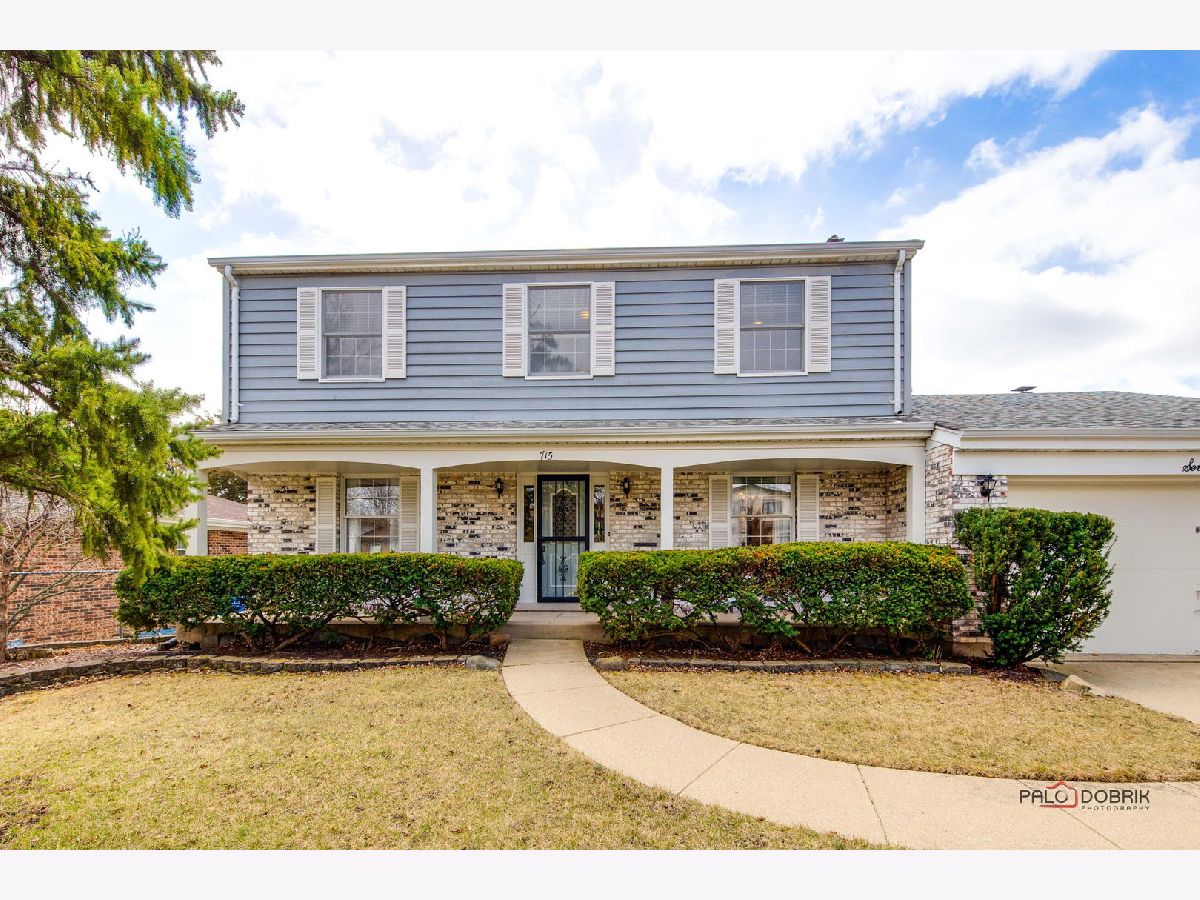 Homes & Condos & Townhomes Sold Lancer Park Schaumburg Illinois, 715 Merlin