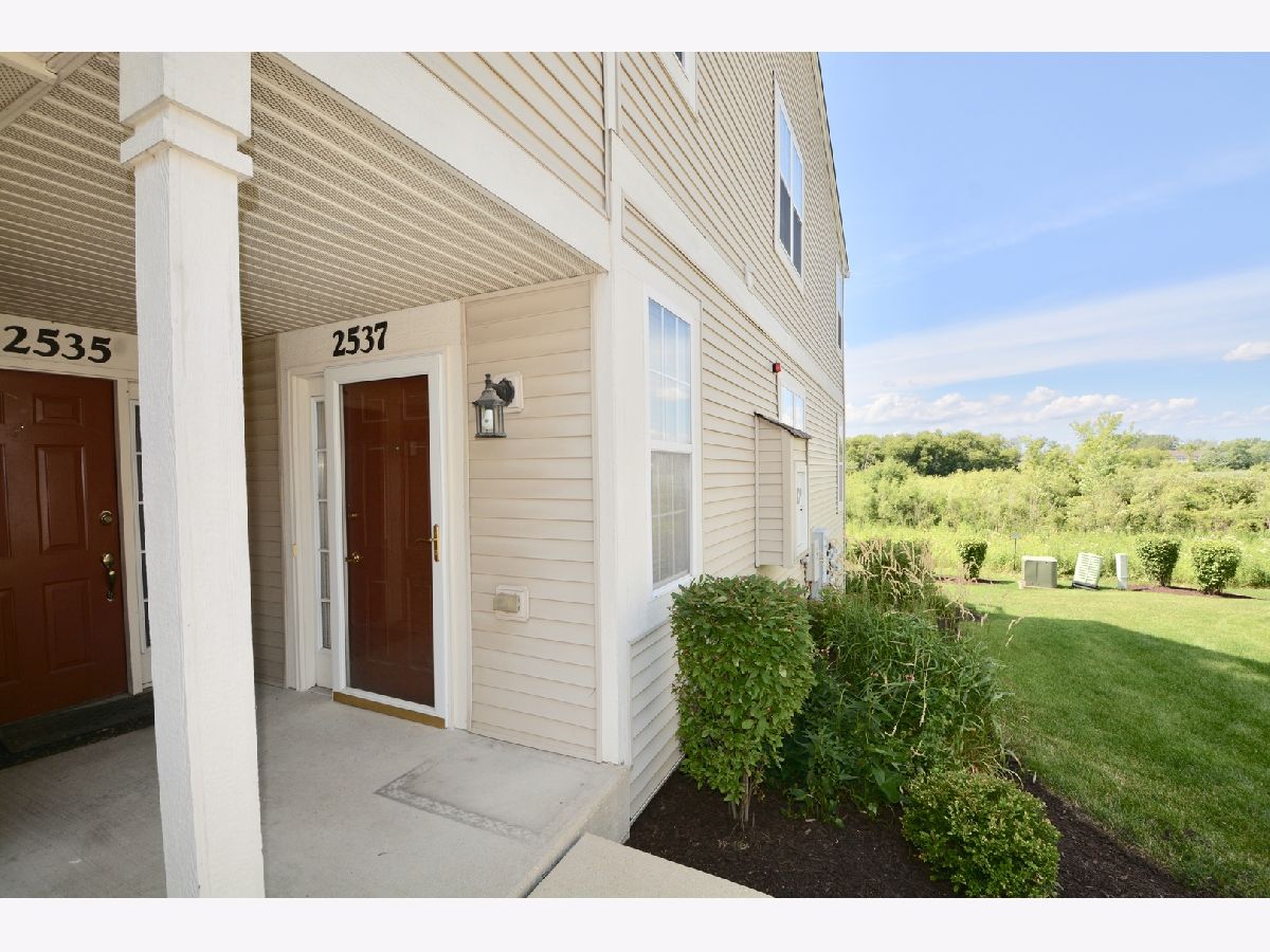 Townhomes & Condos & Homes Rented Enclave At Country Lakes Naperville Illinois, 2537 Oneida